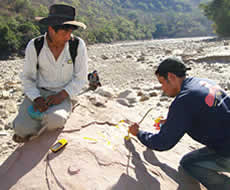 chaco_tarije&ntilde;o
